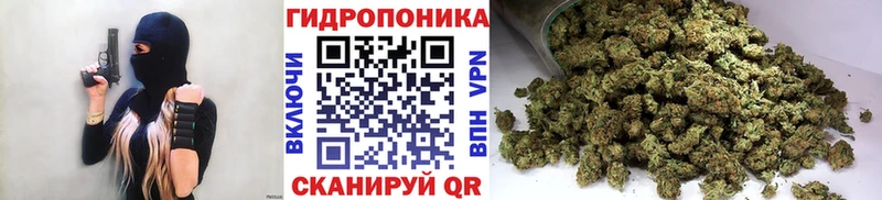 Названия наркотиков Алапаевск Cocaine Псилоцибиновые грибы Меф мяу мяу ГАШ Канабис