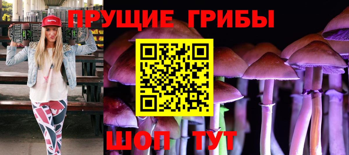 Псилоцибиновые грибы Psilocybe  Галлюциногенные грибы Psilocybe  Алапаевск  Вход с VPN 